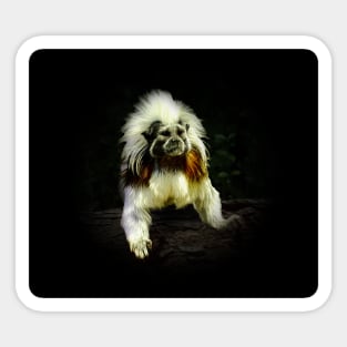 Cotton-top tamarin Sticker